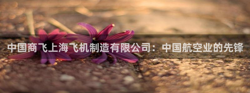 下载彩神v8：中国商飞上海飞机制造有限公司：中国航空业的先锋
