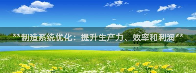 彩神VII购彩中心：**制造系统优化：提升生产力、效率和利润**