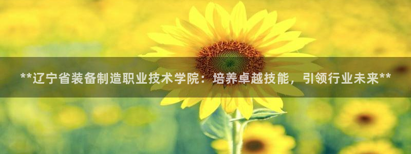 天天赢彩神：**辽宁省装备制造职业技术学院：培养卓越技能，引