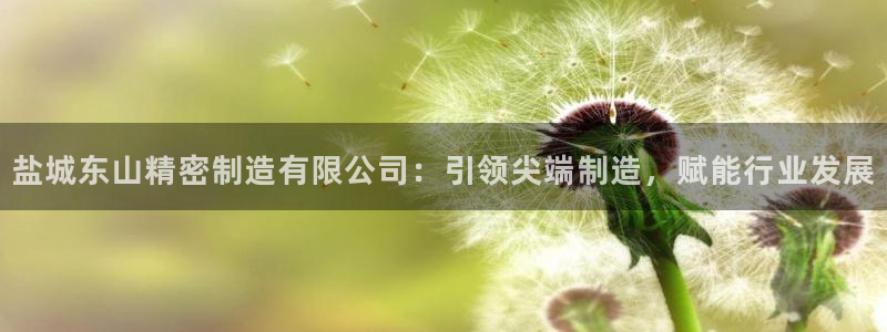 有谁知道彩神争霸的网址：盐城东山精密制造有限公司：引领尖端制造，赋能行业发展