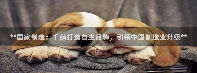 彩神大发三期计划网站：**国家制造：千萌打造自主品牌，引领中国制造业升级**