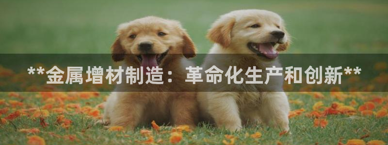 彩神争霸官方登录：**金属增材制造：革命化生产和创新**