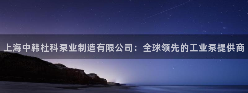 彩神8最新版下载：上海中韩杜科泵业制造有限公司：全球领先的工业泵提供商
