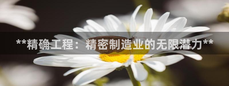 彩神数码科技有限公司：**精确工程：精密制造业的无限潜力**