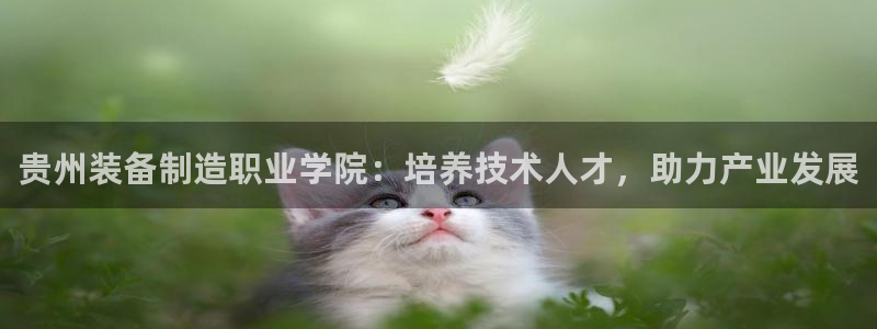 彩神v8客户端：贵州装备制造职业学院：培养技术人才，助力产业发展