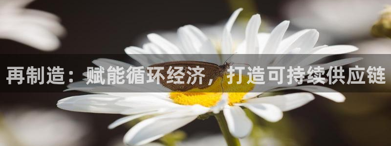 彩神V集团有限公司：再制造：赋能循环经济，打造可持续供应链