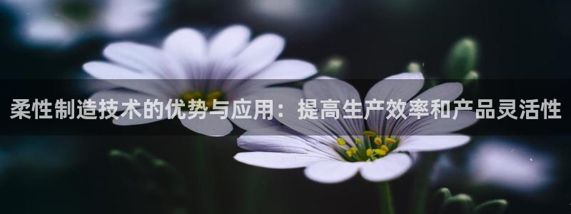 v大发彩神8iii：柔性制造技术的优势与应用：提高生产效率和