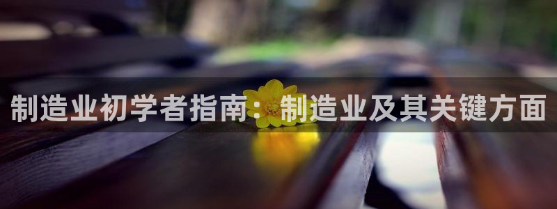 彩神可以提现吗：制造业初学者指南：制造业及其关键方面