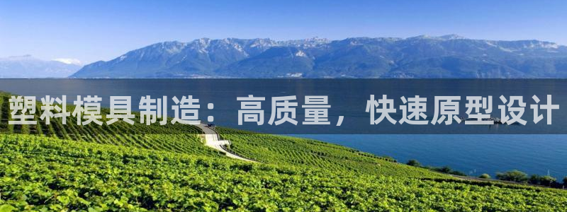 彩神网合法吗：塑料模具制造：高质量，快速原型设计