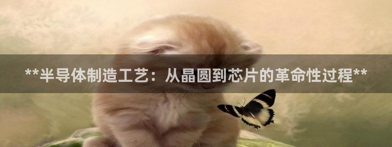 彩神v8官网版：**半导体制造工艺：从晶圆到芯片的革命性过程**