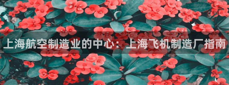下载彩神乐发V：上海航空制造业的中心：上海飞机制造厂指南