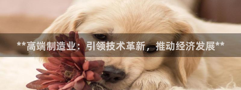 彩神v8是一个什么平台游戏：**高端制造业：引领技术革新，推