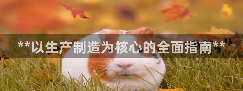 彩神iv是正规平台吗?：**以生产制造为核心的全面指南**