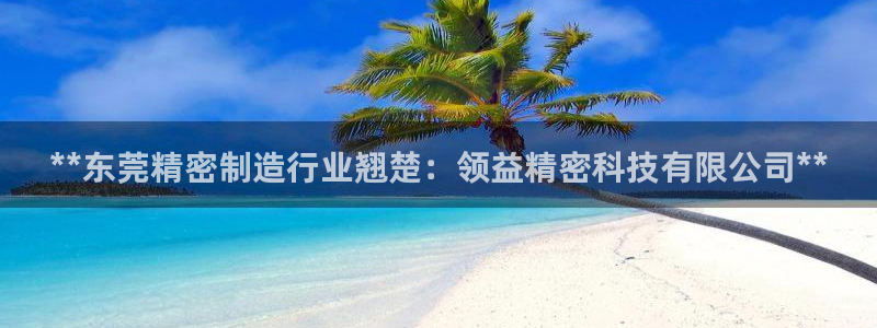 彩神vii官网大赢家：**东莞精密制造行业翘楚：领益精密科技有限公司**