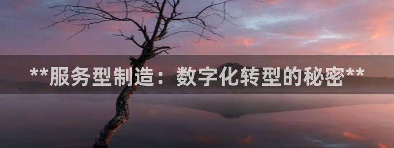 彩神vip购彩大厅下载：**服务型制造：数字化转型的秘密**