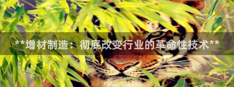 彩神8彩平台：**增材制造：彻底改变行业的革命性技术**