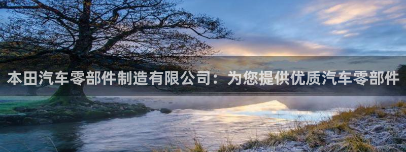 彩神x平台靠什么盈利：本田汽车零部件制造有限公司：为您提供优质汽车零部件