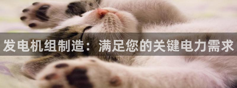 彩神争霸官方下载：发电机组制造：满足您的关键电力需求