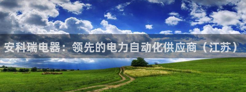 彩神V8有限公司：安科瑞电器：领先的电力自动化供应商（江苏）