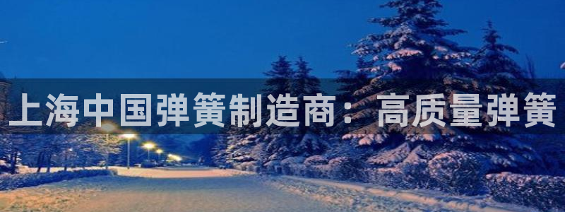 下载彩神通关注金码：上海中国弹簧制造商：高质量弹簧