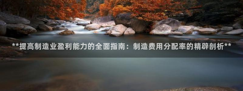 彩神ⅴll是什么样平台：**提高制造业盈利能力的全面指南：制造费用分配率的精辟剖析**