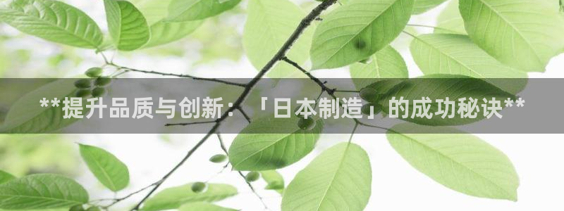 彩神V8平台：**提升品质与创新：「日本制造」的成功秘诀**