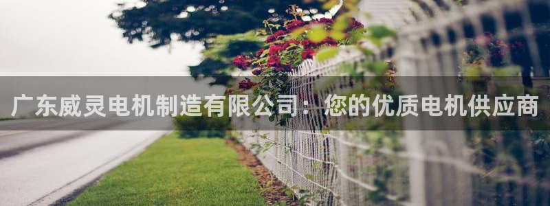 彩神购彩-购彩大厅入口计划群：广东威灵电机制造有限公司：您的
