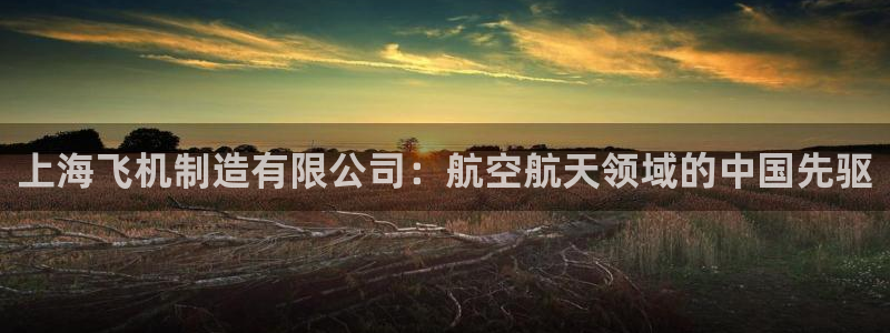 彩神V集团有限公司：上海飞机制造有限公司：航空航天领域的中国先驱