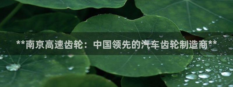 彩神v8下载网址：**南京高速齿轮：中国领先的汽车齿轮制造商**