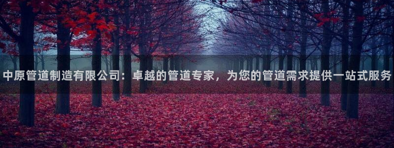 彩神xapp官方网站：中原管道制造有限公司：卓越的管道专家，为您的管道需求提供一站式服务