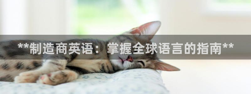 彩神8官网版是正规的吗：**制造商英语：掌握全球语言的指南**