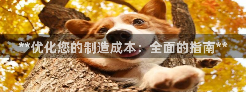 在彩神网输了六万多怎么拿回来：**优化您的制造成本：全面的指南**