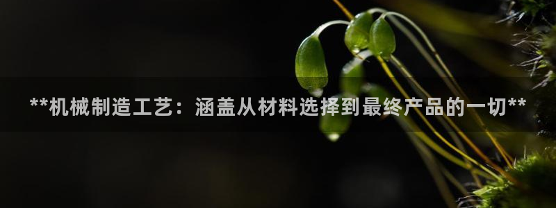 彩神争霸官方下载：**机械制造工艺：涵盖从材料选择到最终产品