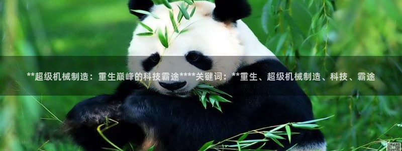 彩神网正规吗：**超级机械制造：重生巅峰的科技霸途****关