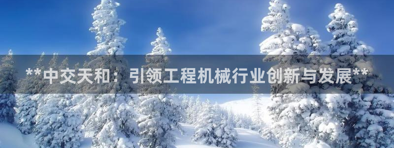 彩神vii官网：**中交天和：引领工程机械行业创新与发展**