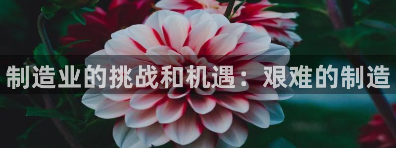 彩神购彩-购彩大厅入口下载：制造业的挑战和机遇：艰难的制造