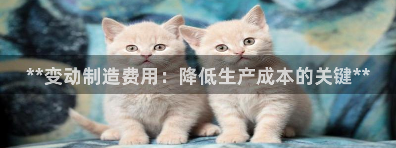 所有彩神购买首页都一样吗：**变动制造费用：降低生产成本的关键**