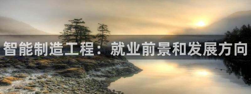 彩神赢了钱登录不上去：智能制造工程：就业前景和发展方向