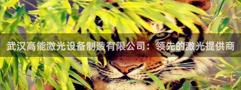 彩神vl购彩大厅：武汉高能激光设备制造有限公司：领先的激光提