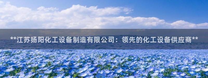 彩神vll趣投彩：**江苏扬阳化工设备制造有限公司：领先的化