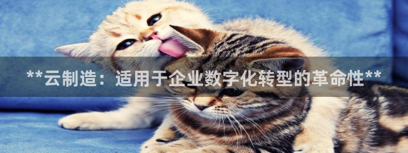 彩神8彩平台官网：**云制造：适用于企业数字化转型的革命性*