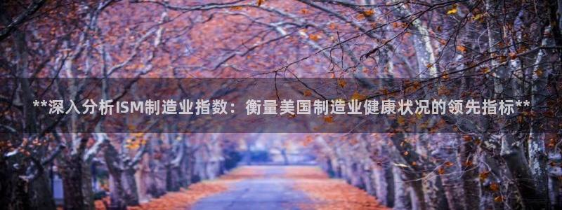彩神官方网站登录是多少：**深入分析ISM制造业指数：衡量美国制造业健康状况的领先指标**