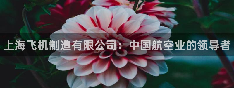 彩神v1官网：上海飞机制造有限公司：中国航空业的领导者