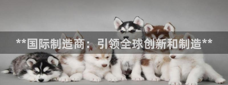新版彩神v8登录教程：**国际制造商：引领全球创新和制造**