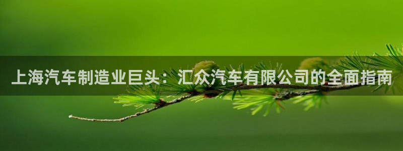 彩神争霸官网登录平台：上海汽车制造业巨头：汇众汽车有限公司的全面指南