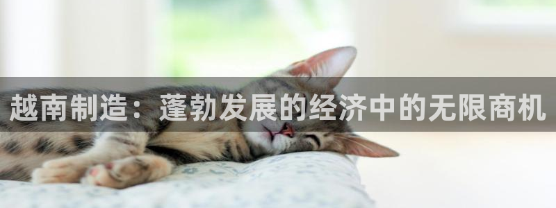 彩神大发三期计划网站：越南制造：蓬勃发展的经济中的无限商机