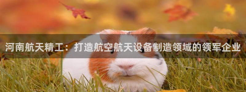 彩神v8手机客户端下载：河南航天精工：打造航空航天设备制造领域的领军企业