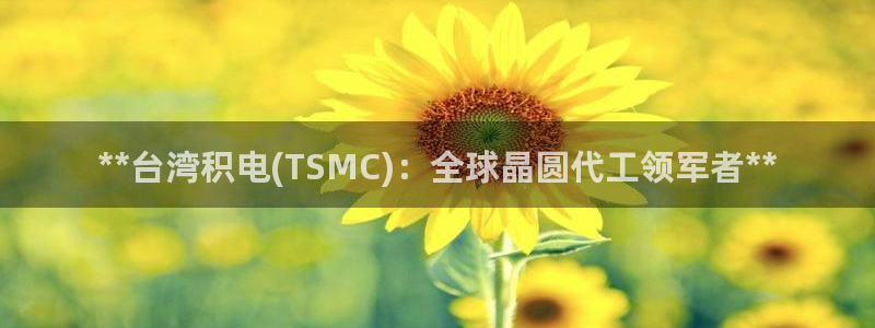 彩神v8手机客户端下载：**台湾积电(TSMC)：全球晶圆代工领军者**