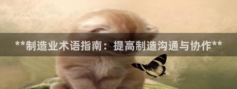 彩神8彩平台客服：**制造业术语指南：提高制造沟通与协作**
