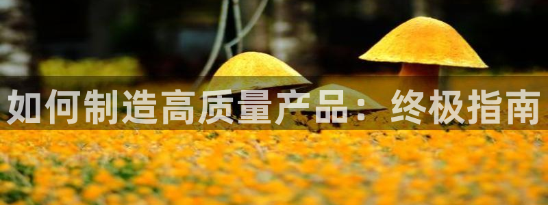 彩神viii官网：如何制造高质量产品：终极指南